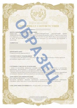 Образец Сертификат СТО 01.064.00220722.2-2020 Александровск Сертификат СТО 01.064.00220722.2-2020 